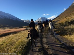not long after this 134 young horses were hot on our heels.
